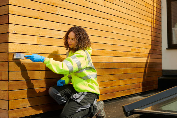 Best Vinyl Siding Installation  in Lindstrom, MN