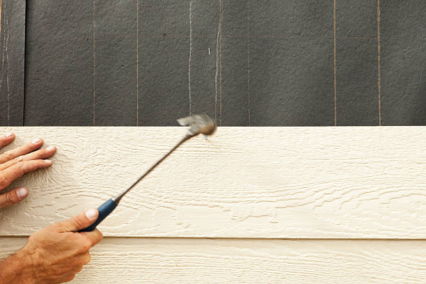 Affordable Siding Repair and Maintenance Services in Lindstrom, MN